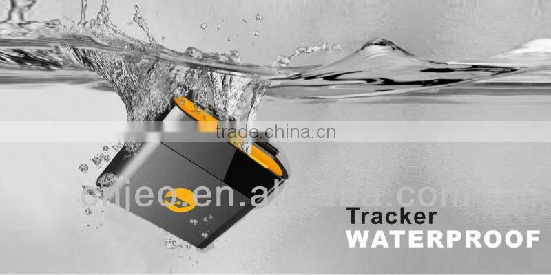 Global Smallest Chip GPS Tracking Animals Cats with Long Battery Alarm System and Pet Collar GPS Chips