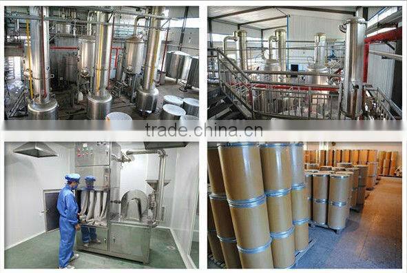 BP2013 St. John's Wort/Hypericum Perforatum Extract St John's Wort/St John Wort Extract