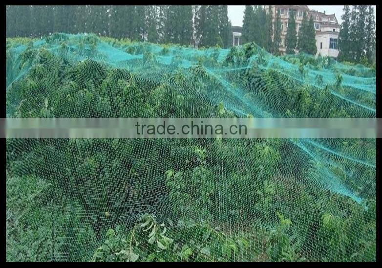 PP strong plastic Slope protection net/Construction safety net