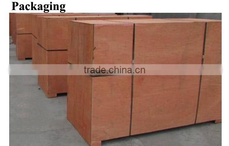 CE Approve small power biogas generator 50kw