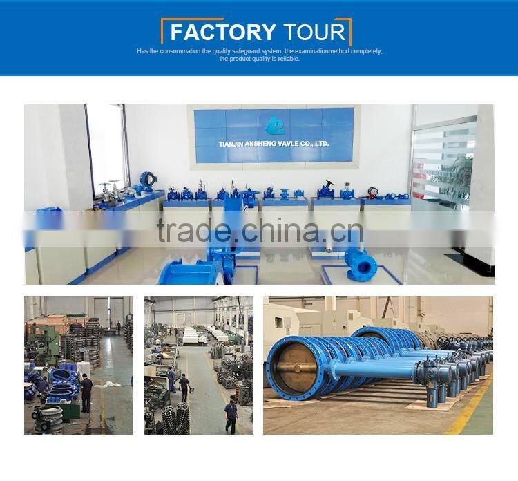 PVC Full Opening Swing Check Valve