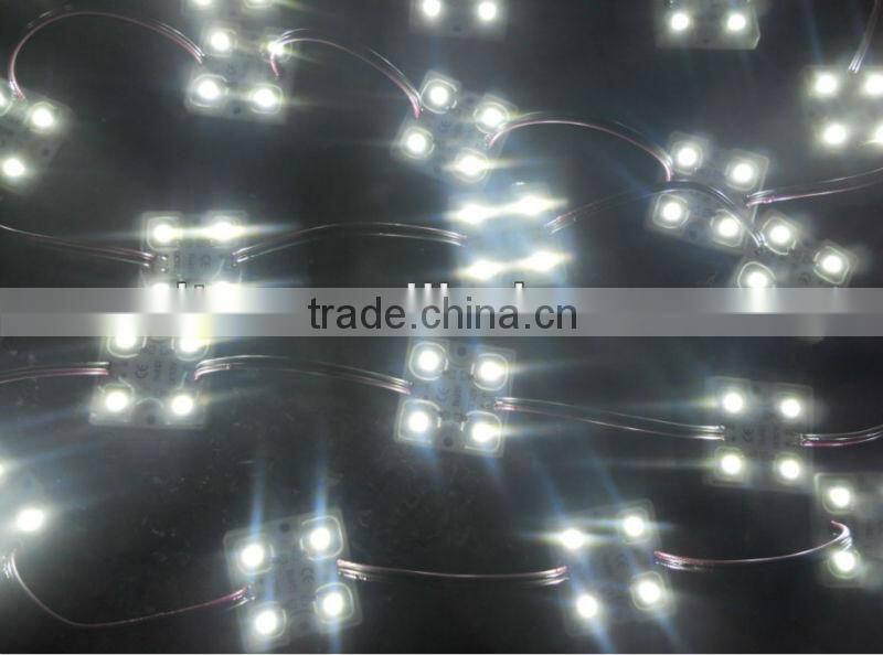 promotion!!! 5050 SMD COOL WHITE LED module,0.96W;DC12V;20pcs a string;IP67;6000-6500K