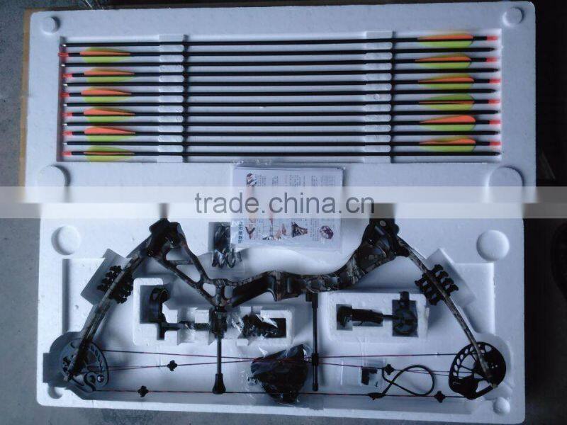 China Archery 310fps Compound Bow for Sale