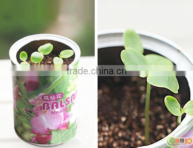 Semi-automatic Punch Press Can Body Blanking For Cutting Material of Tin Can Flower Fruit Pallet Tray Making Machine Line