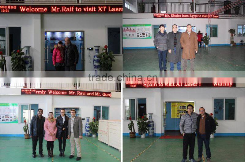 Equipments producing Portable laser marking machine hunst for animal ear tag