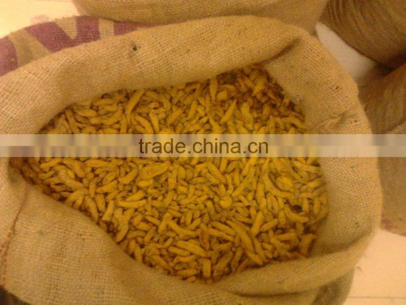 Turmeric Finger, Erode Turmeric Finger, Nizamabad Turmeric Finger