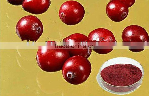 Cranberry Fruit Extract Powder from GMP Certified Factory