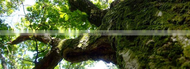 Original pure solid boards for table top for wooden furniture use , various types of furnitures also available