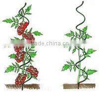 Green Spiral Tomato Plant Stakes