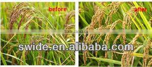 Fish Protein EDTA Ca Liquid Fertilizer