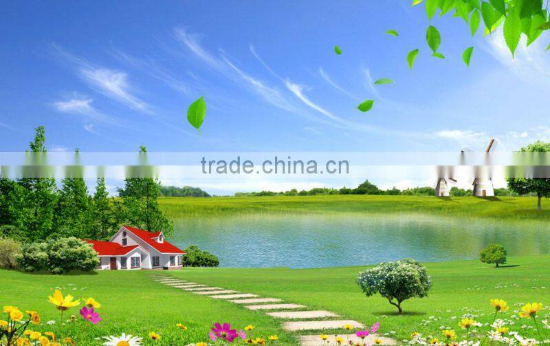 Biomass burner for boilers replace diesel burner and coal burner 30-70% fuel cost saving