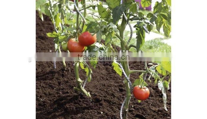 2017 New design tomato spiral plant support/tomato spiral/spiral tomato stake