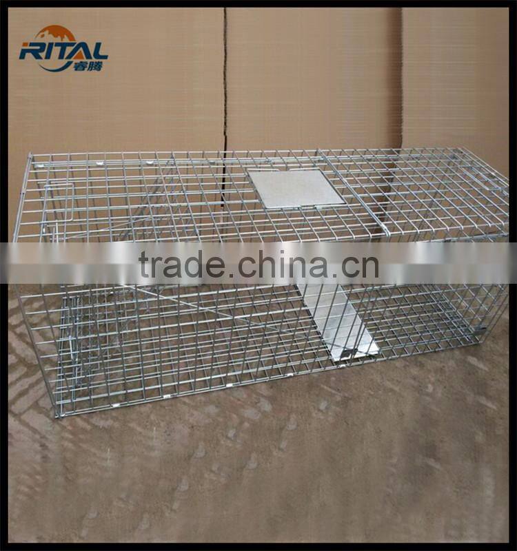 Mouse Mice Trap Rat Cage Rodent Animal Bait Pest Control Humane live