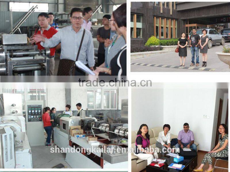 instant noodle machine oem