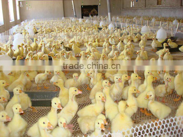 Best Price!! HDPE Construction Safety Net/construction Safety Net/Plastic Net plastic flat mesh