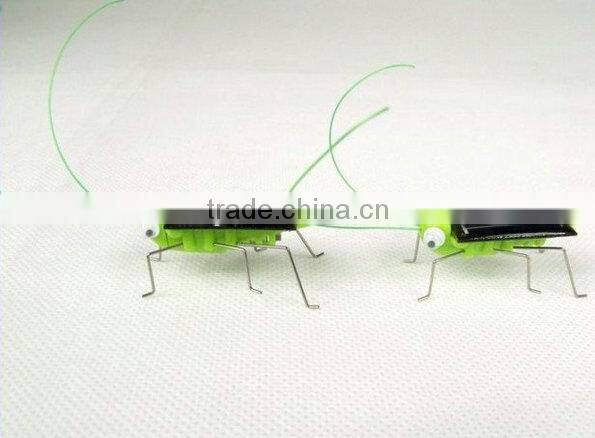 New arrival Solar Energy Toy Cockroach/ spider Green gift solar toy for kids