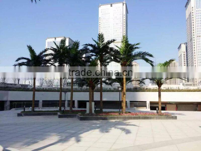 landscape tropical tree project big tree supplier