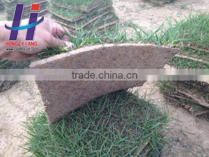 Coconut blanket coir fiber highest quality and Coir Products