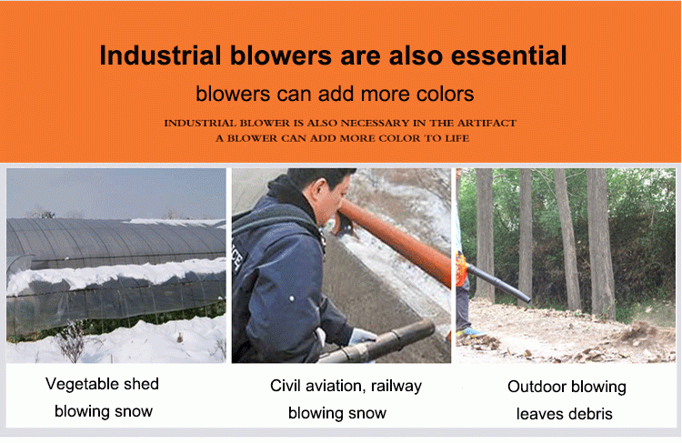 Gas back pack vacuum cleaner