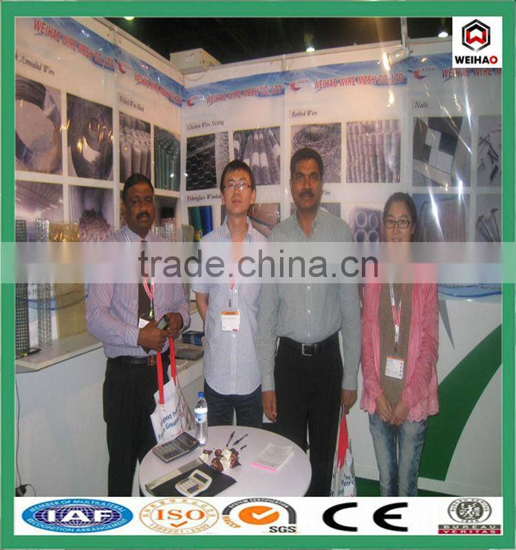 all kinds of size Common Nail supplier in China