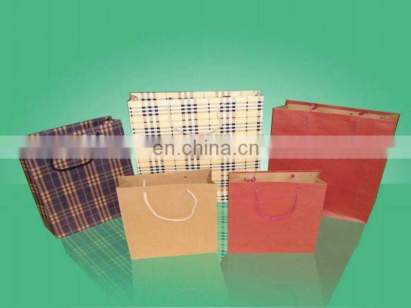 2012 New fashion style customized paper shopping bag/ Advertisement bag