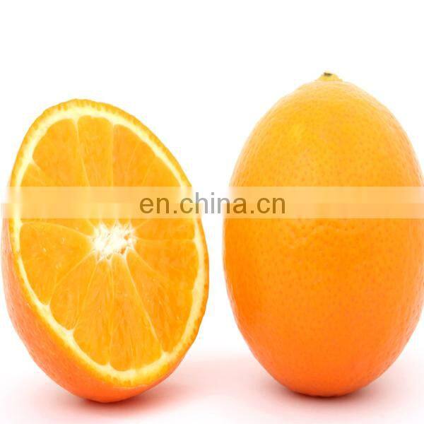 Factory price automatic orange juicer