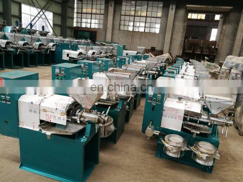 factory supply mango seed/baobab seed oil press machine