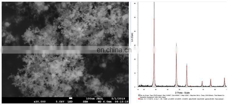 High Purity 50nm 100nm Silicon Nanoparticles Price Silicon Nanopowder
