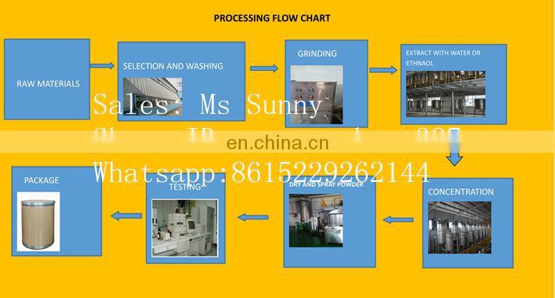 Whitening 95% OPC Grape Seed Extract