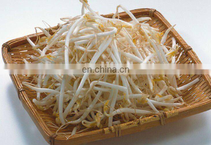 Bean Sprout Growing Machine | Bean Sprout Machine | Mungbean Sprout Machine