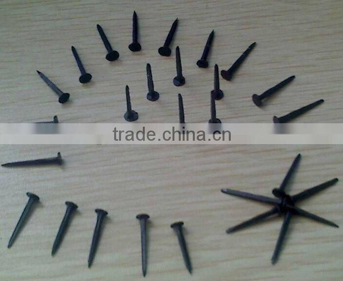 hot saled shoe tack nails(factory)