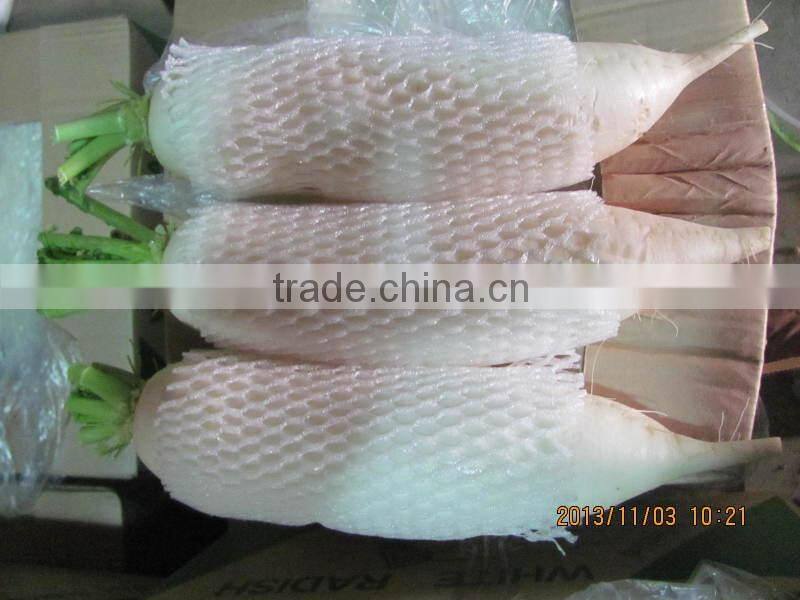 Sell 2014 new crop white radish/fresh radish/fresh white radish from Brother Kingdom
