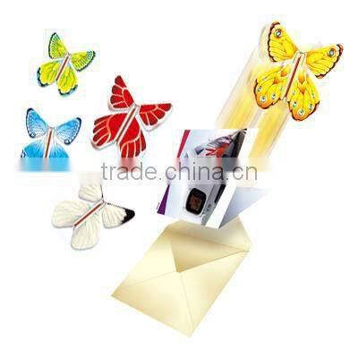 Wind Up Butterfly from CD,Greeting Cards,Invitation Letter,Flowers and More