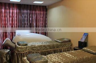 2014 New Arrival!! spa capsule bed with factory price ZN-61