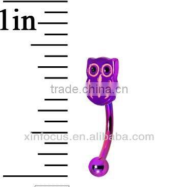 Purple Anodized Titanium Owl Eyebrow Ring body jewelry Eyebrown Piercing Ring Jewelry