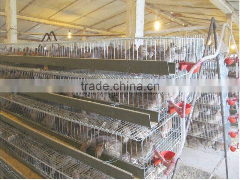 Galvanized battery quail cage for