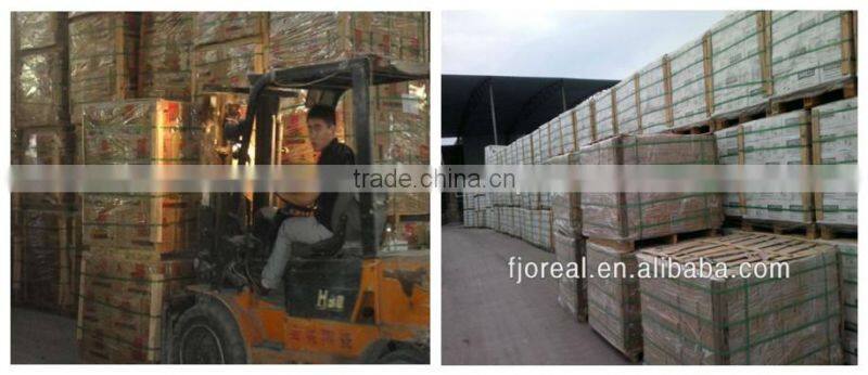 3d inkjet exterior wall tile with high quality 300x600mm