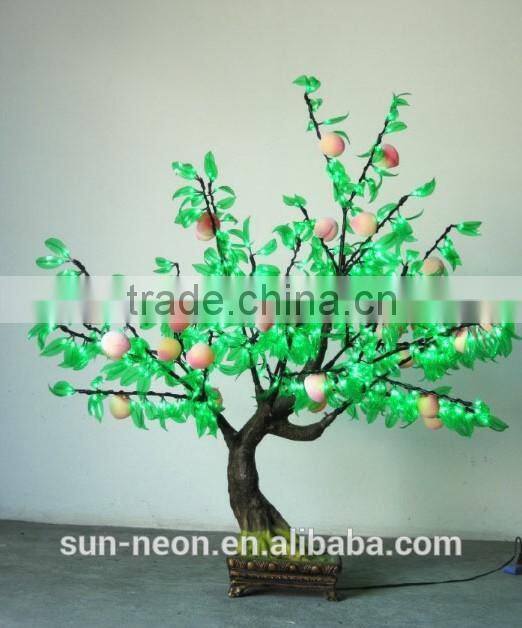 bonsai tree sale