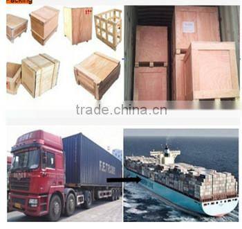 Beef Processing Facility Cow Slaughter