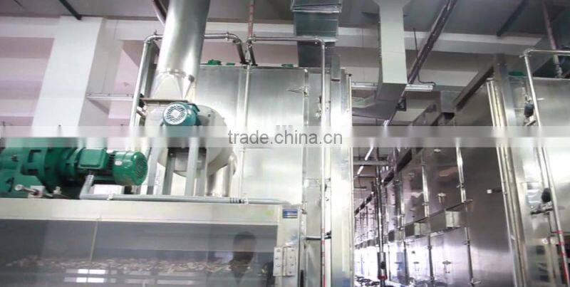 Mesh-belt Dryer for drying vegetable and fruits