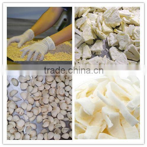 LTDG-Series Production Freeze Drying Machine