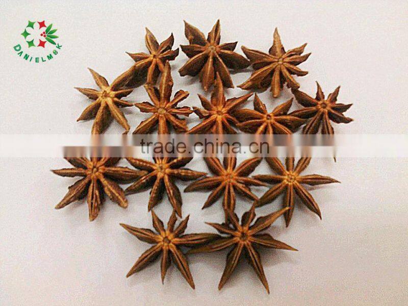 Hot saleing in Southeast Asia------- aniseed supplier