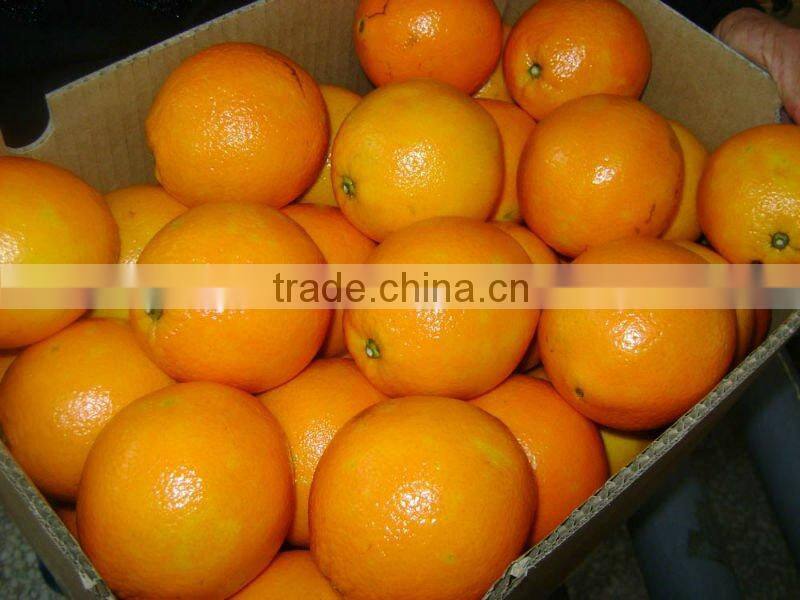 Chinese Neval Orange