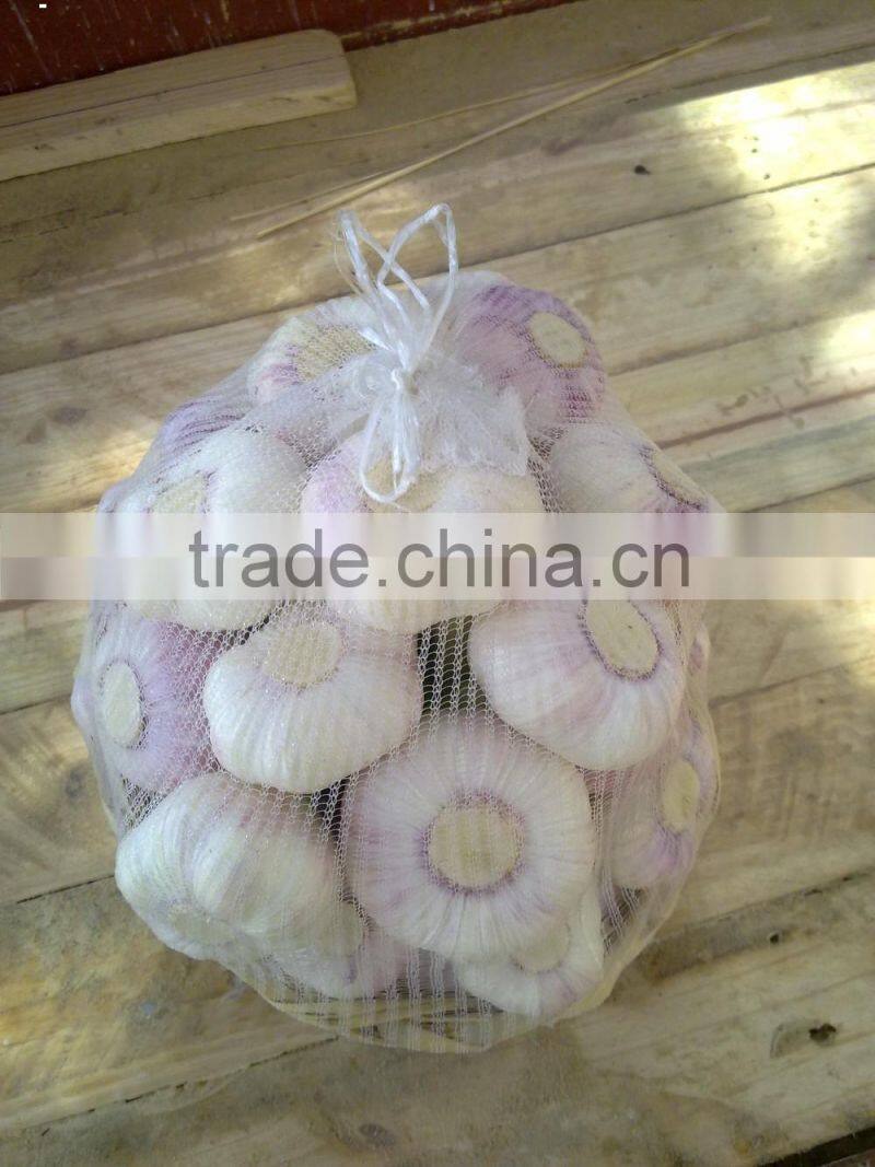 wholesale garlic 2017Hot sale Egyptian fresh garlic (Red, White) for export