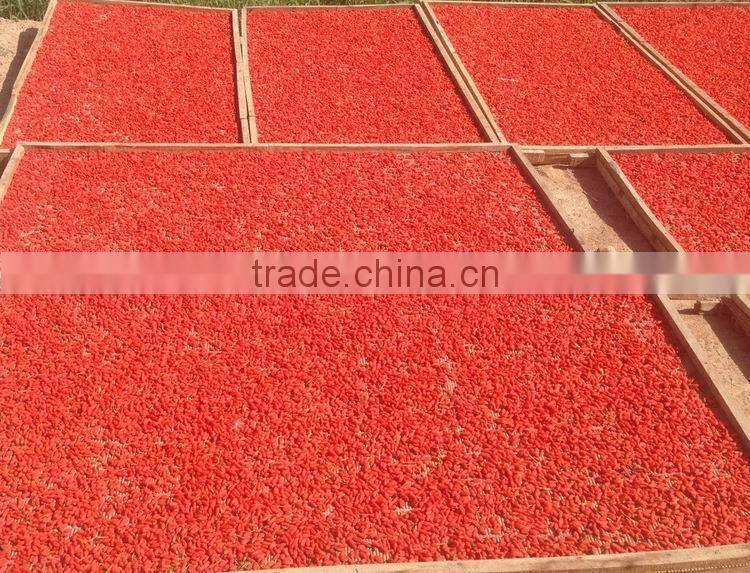 natural blended dried fruit apple rings