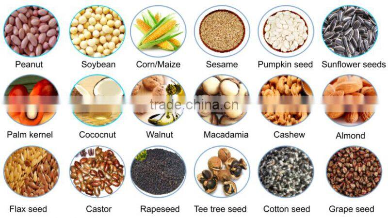 Stainless steel advanced design seed oil press machine manufacturers cooking oil making machine with purifier