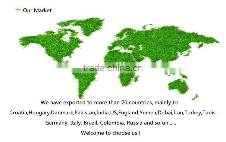 Pink Xi Hong Shi/tomato seeds high yield hybrid anti virus vegetable seeds for plant