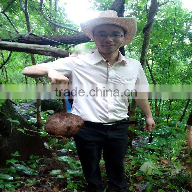 High quality black pueraria mirifica essential oil for men