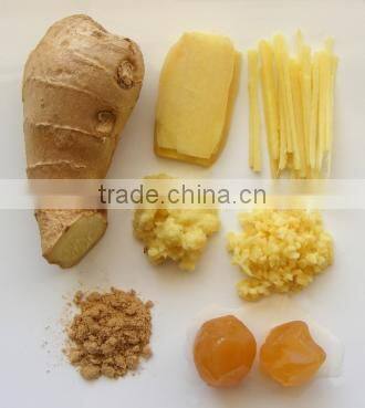 100% Natural Quality of Ginger Oil