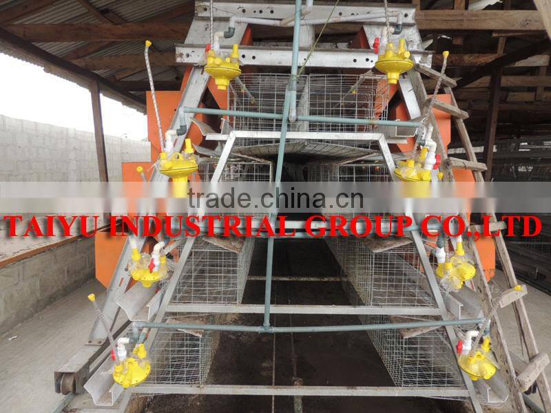 TAIYU Automatic Poultry Battery Cage for Nigerian Farm